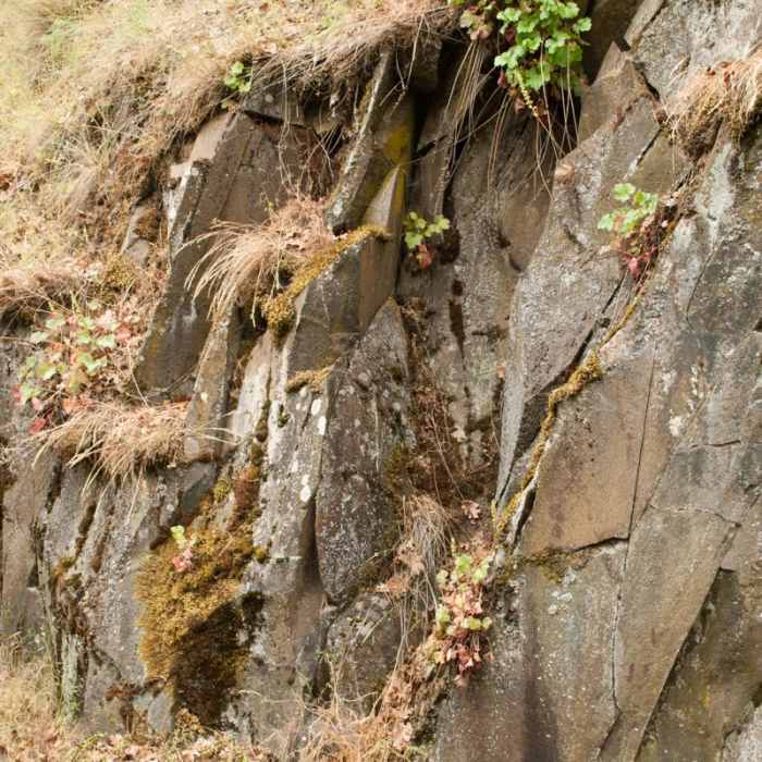 Near Klickitat Trail, Lyle Trailhead