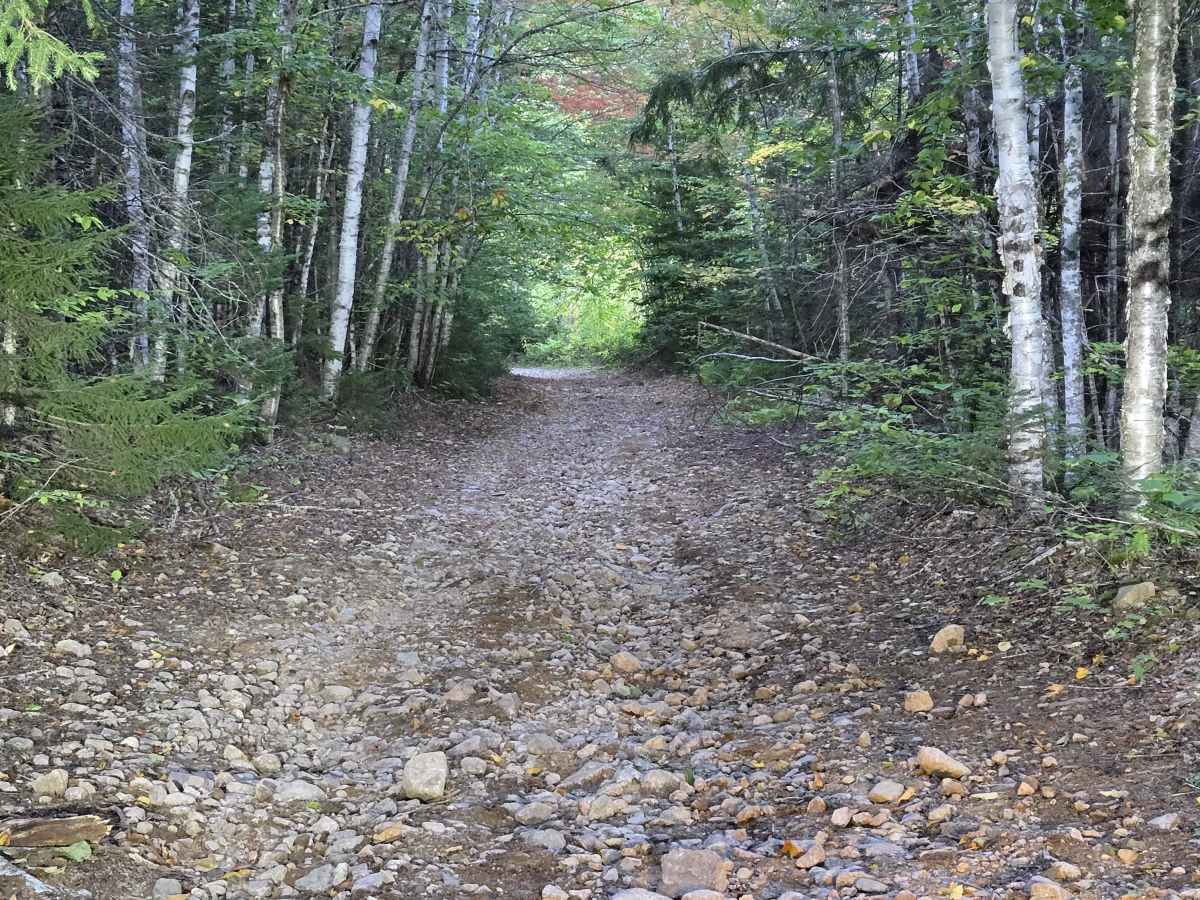 Flint Hill Road photo 4