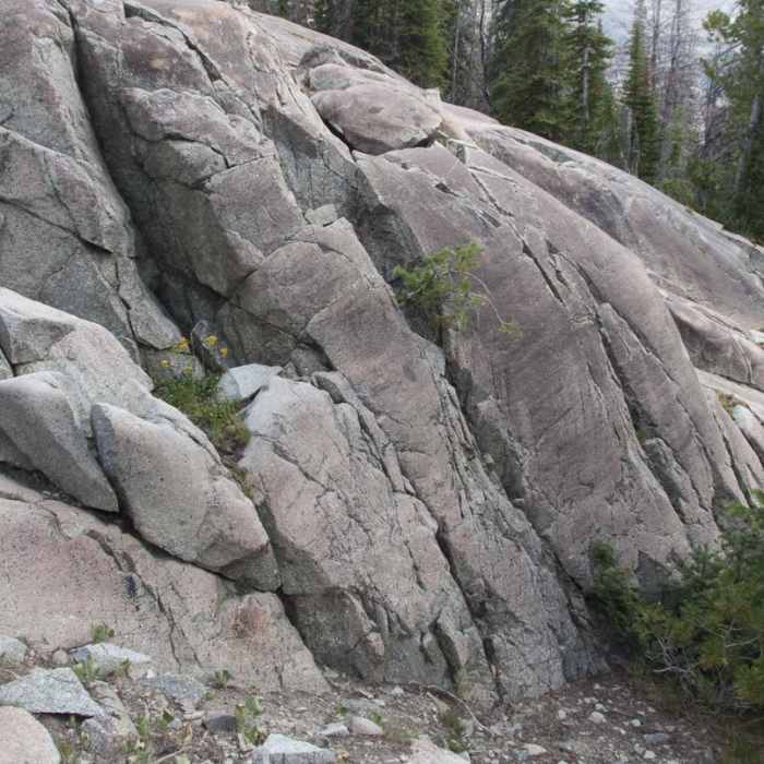 Near North Fork of the Big Wood