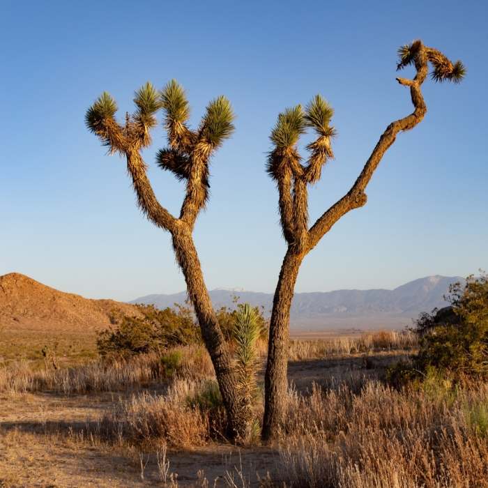 Near Dowen Nature Trail