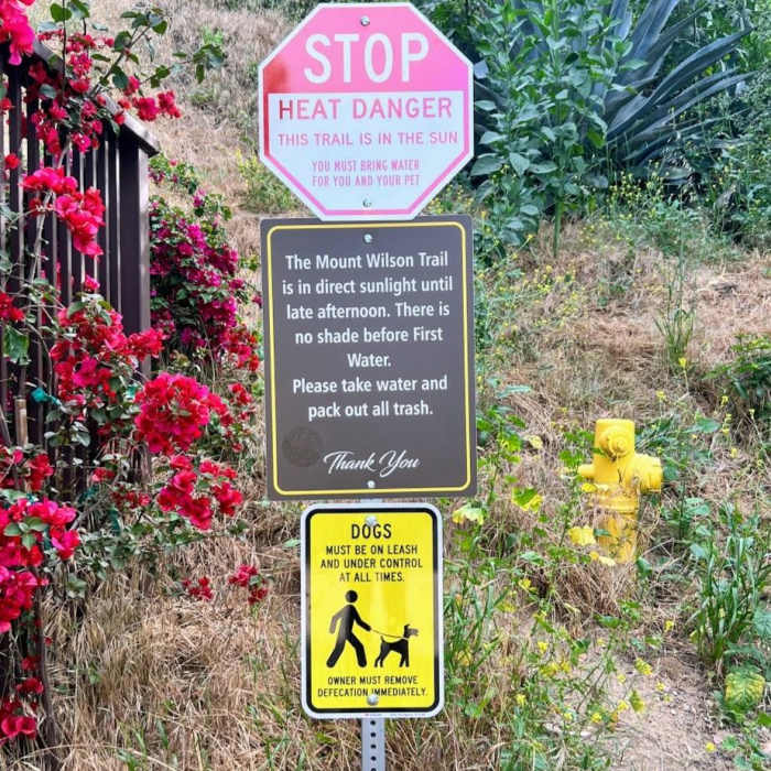 Near Jones Peak Plus Hastings Loop