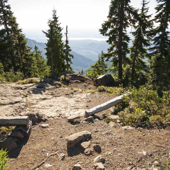 Near Mount Ellinor via Upper Trailhead