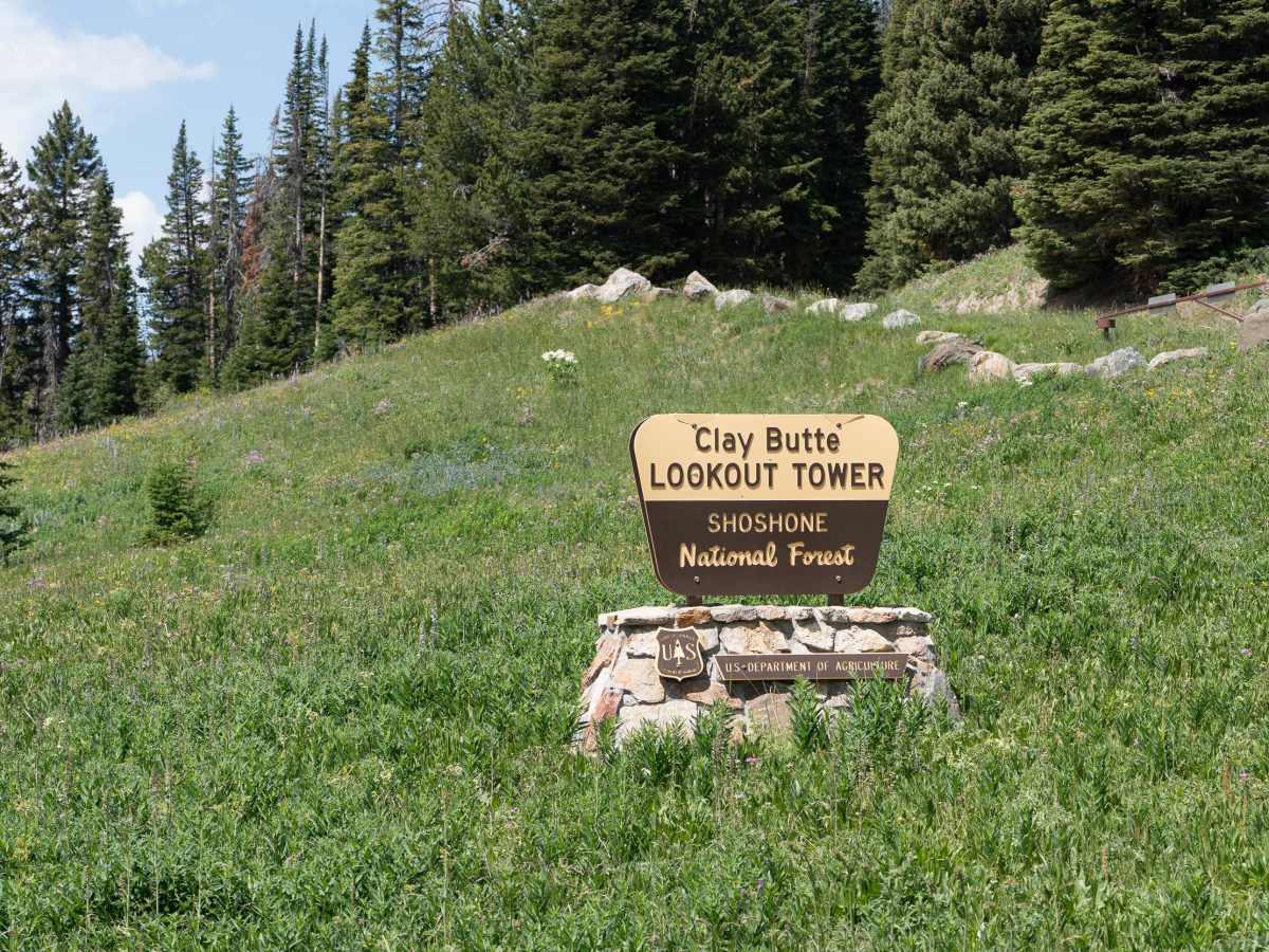 Clay Butte Lookout Tower photo 2