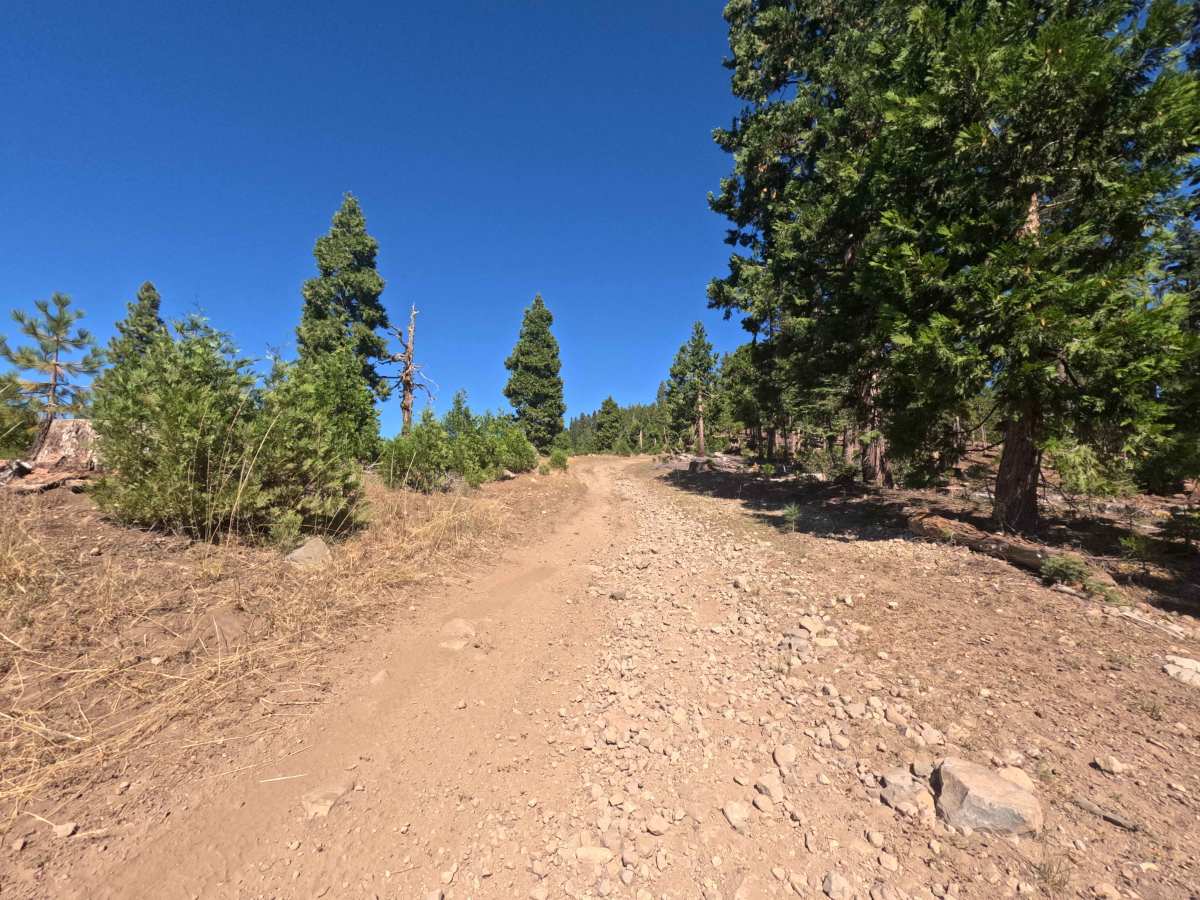 Buck Ranch - FS 6N09 photo 3