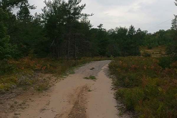 Sandhill - FS 3697
