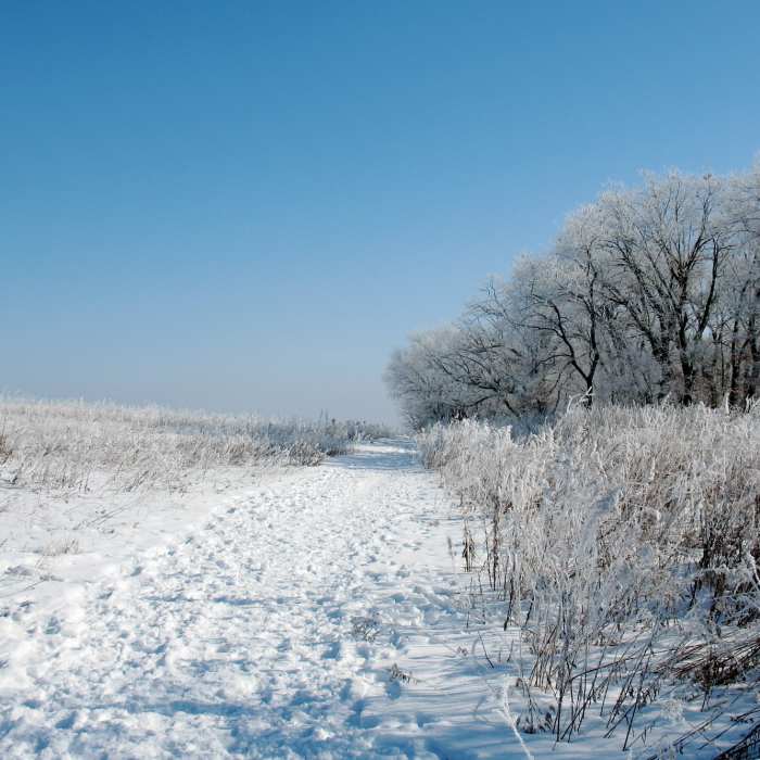 Looking east on one of the trails connecting to this segment of Ice Age Trail. Near Ice Age Trail: Verona Segment