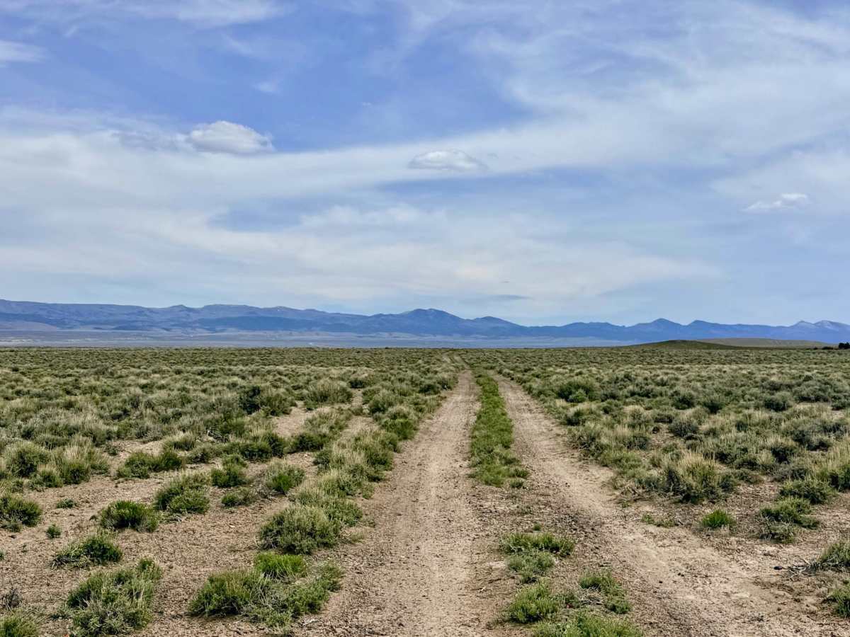 Stonebridge Connector - BLM138 trail photo