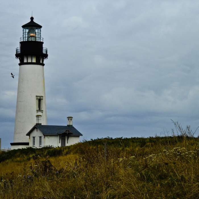 Near Yaquina Head Lighthouse Trail
