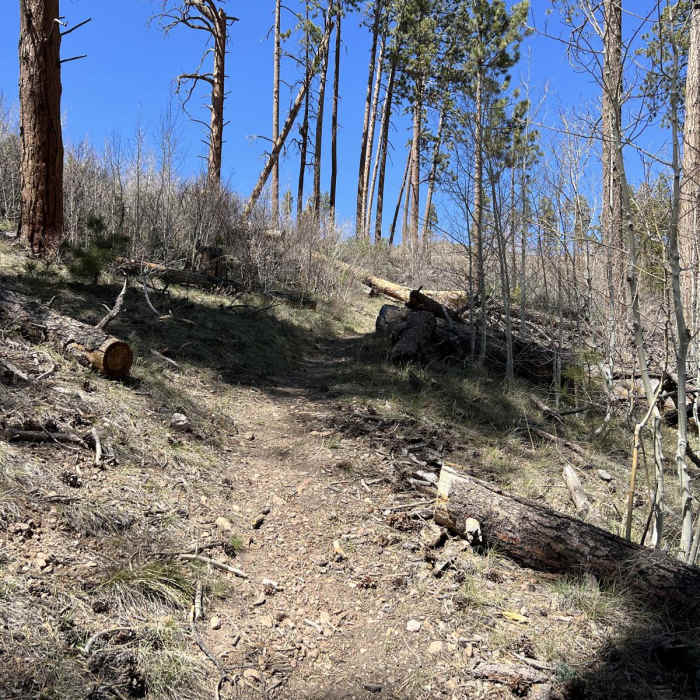 Near Arizona Trail Passage 41: Kaibab Plateau Central