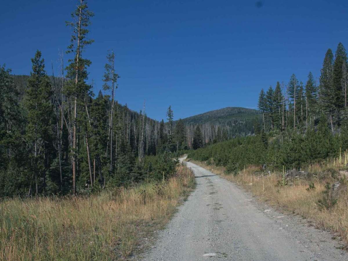 Gold Creek photo 6
