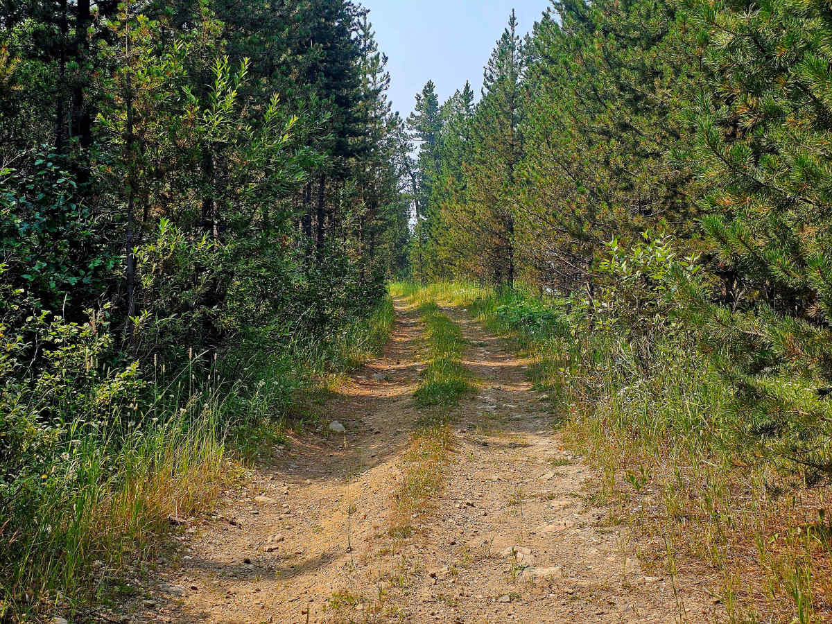 Squaw-Wilson Divide photo 6