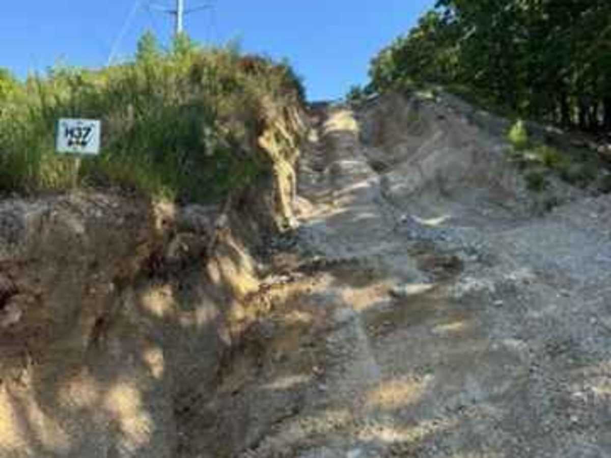 H37 trail photo