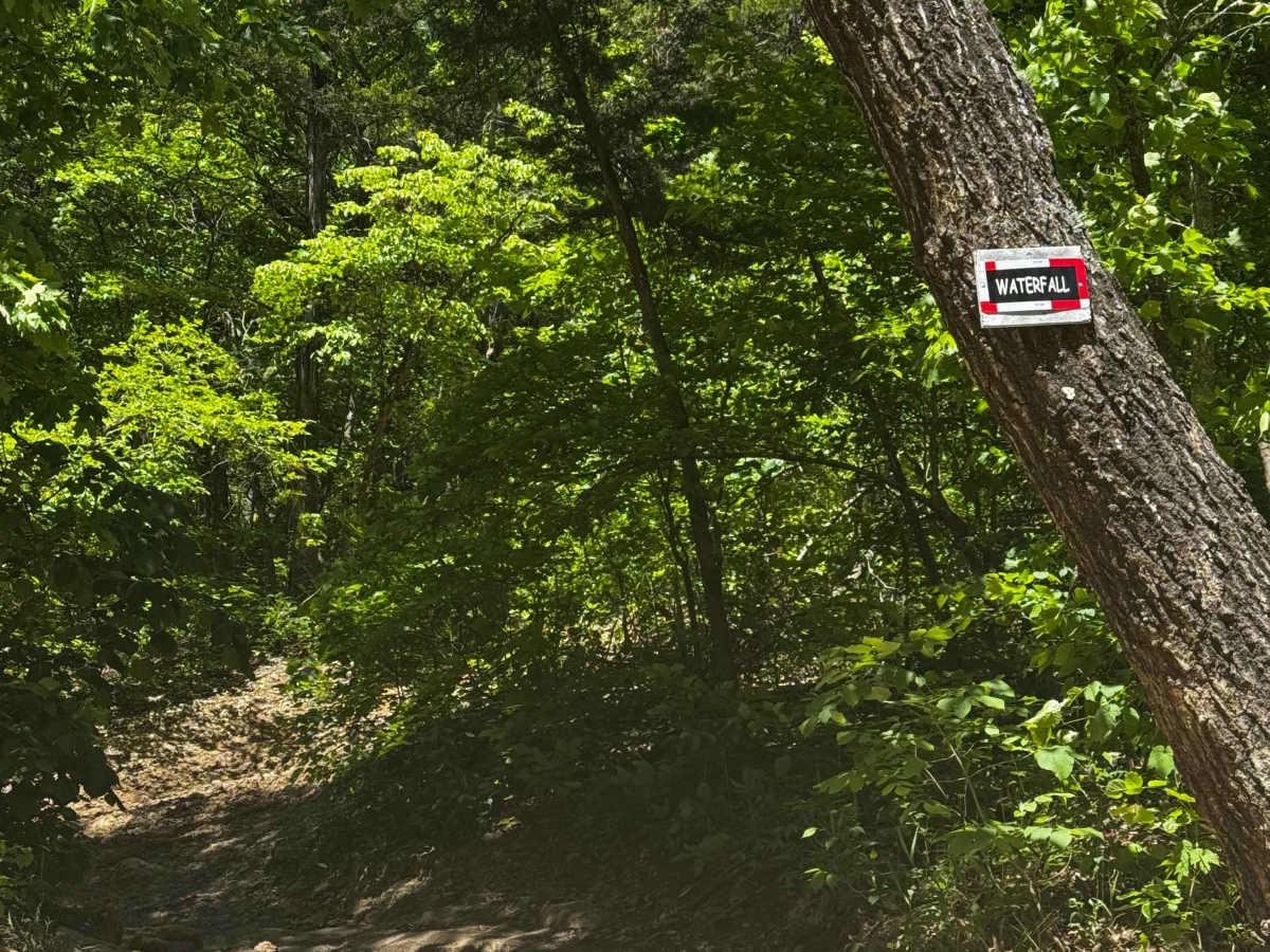 Waterfall Hill trail photo