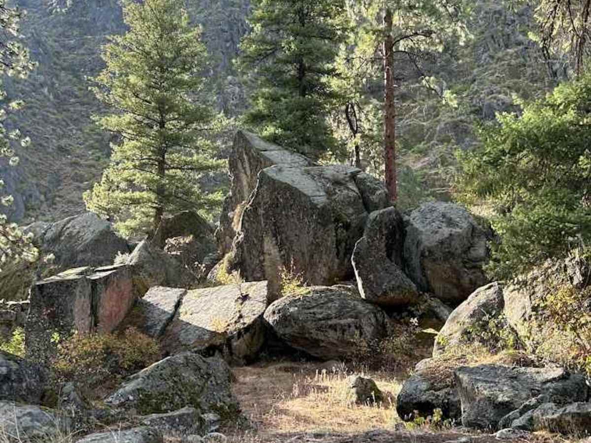 Wind River- NF 1614 photo 6