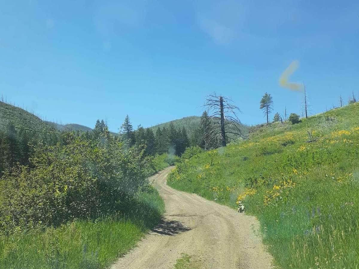 West Bridger Creek Cruise photo 5