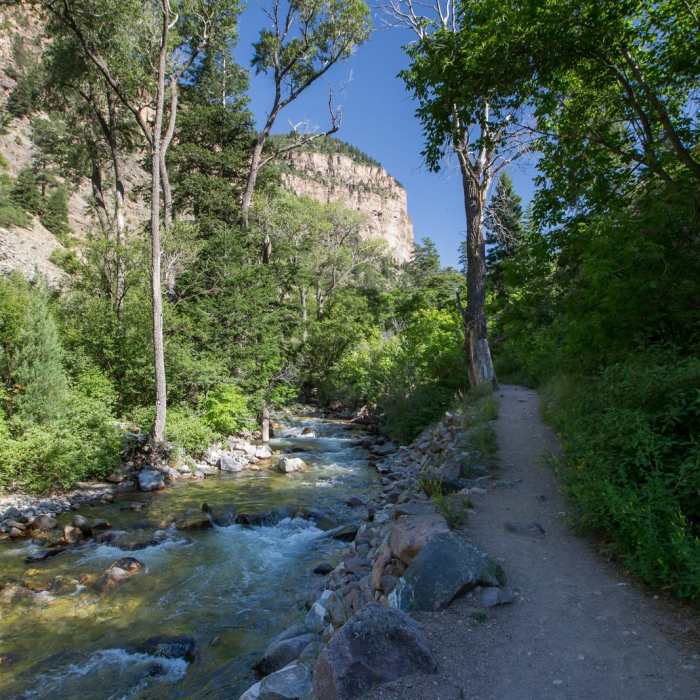 Near Grizzly Creek Trail