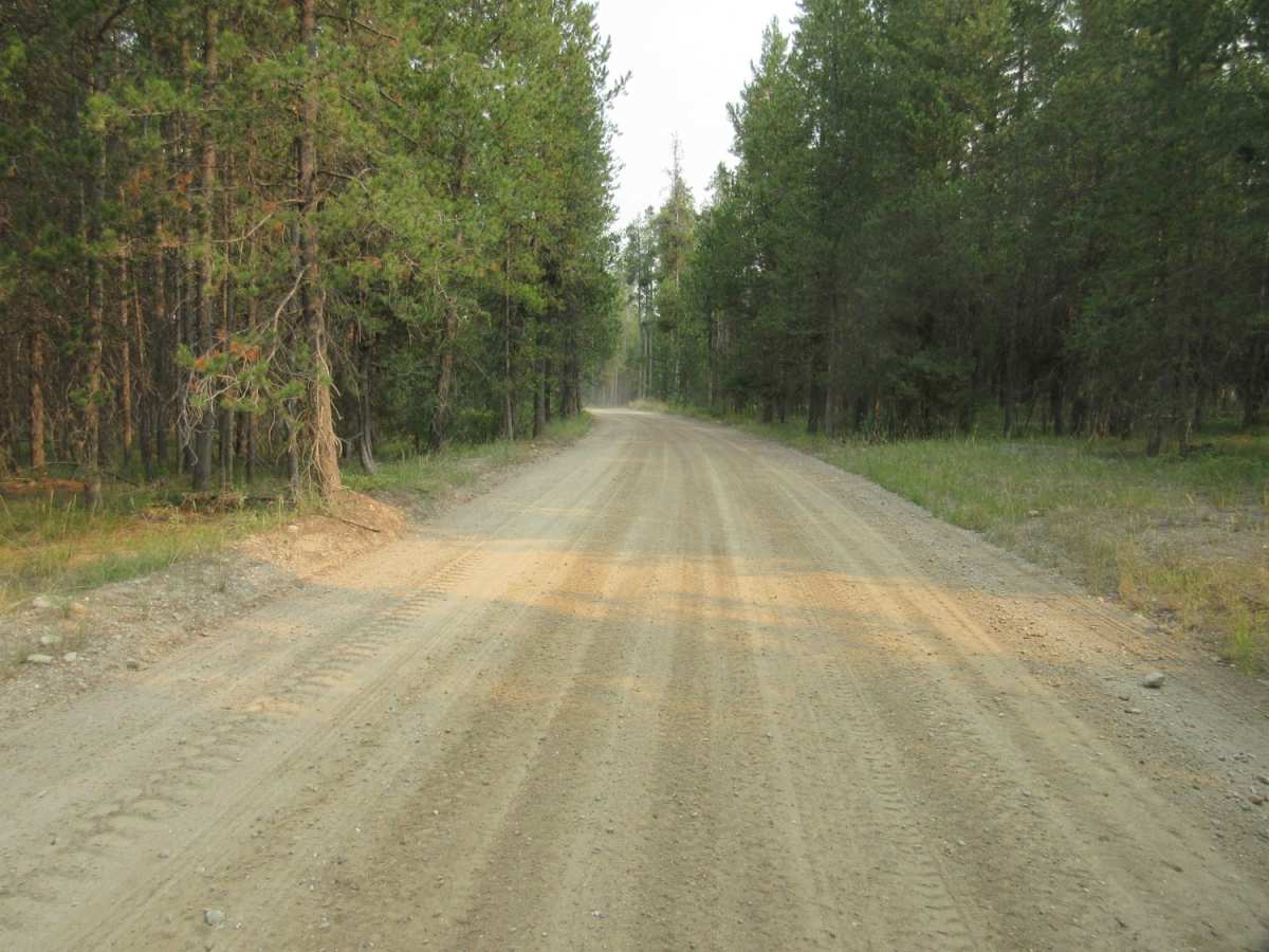 Meadow Creek Road trail photo