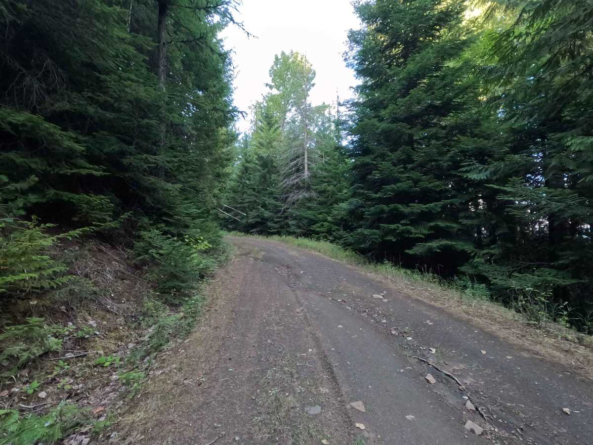 Ole Creek - FS 1092 photo 5