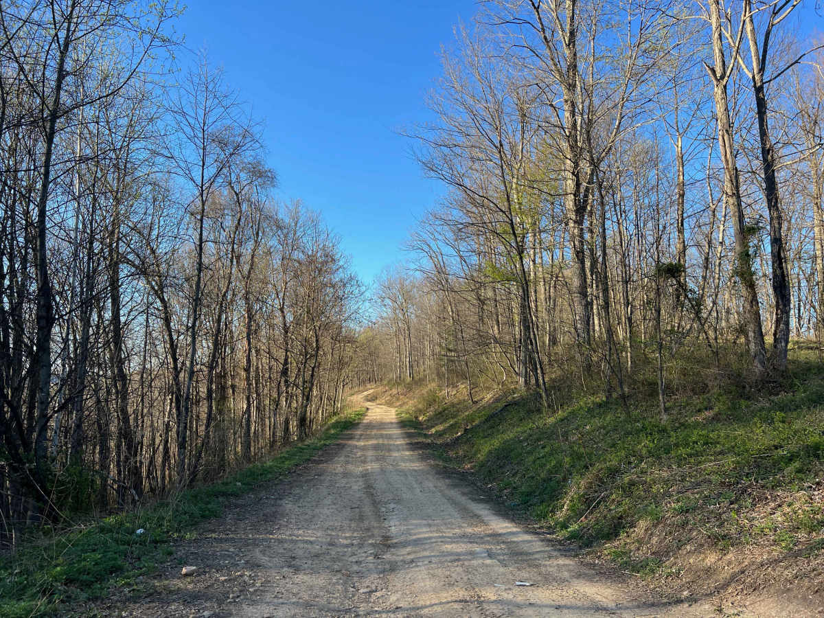 KC2 trail photo