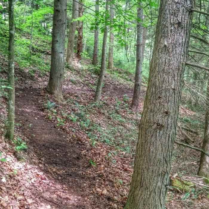 Flat Holler Trail Near Bald Rock Loop