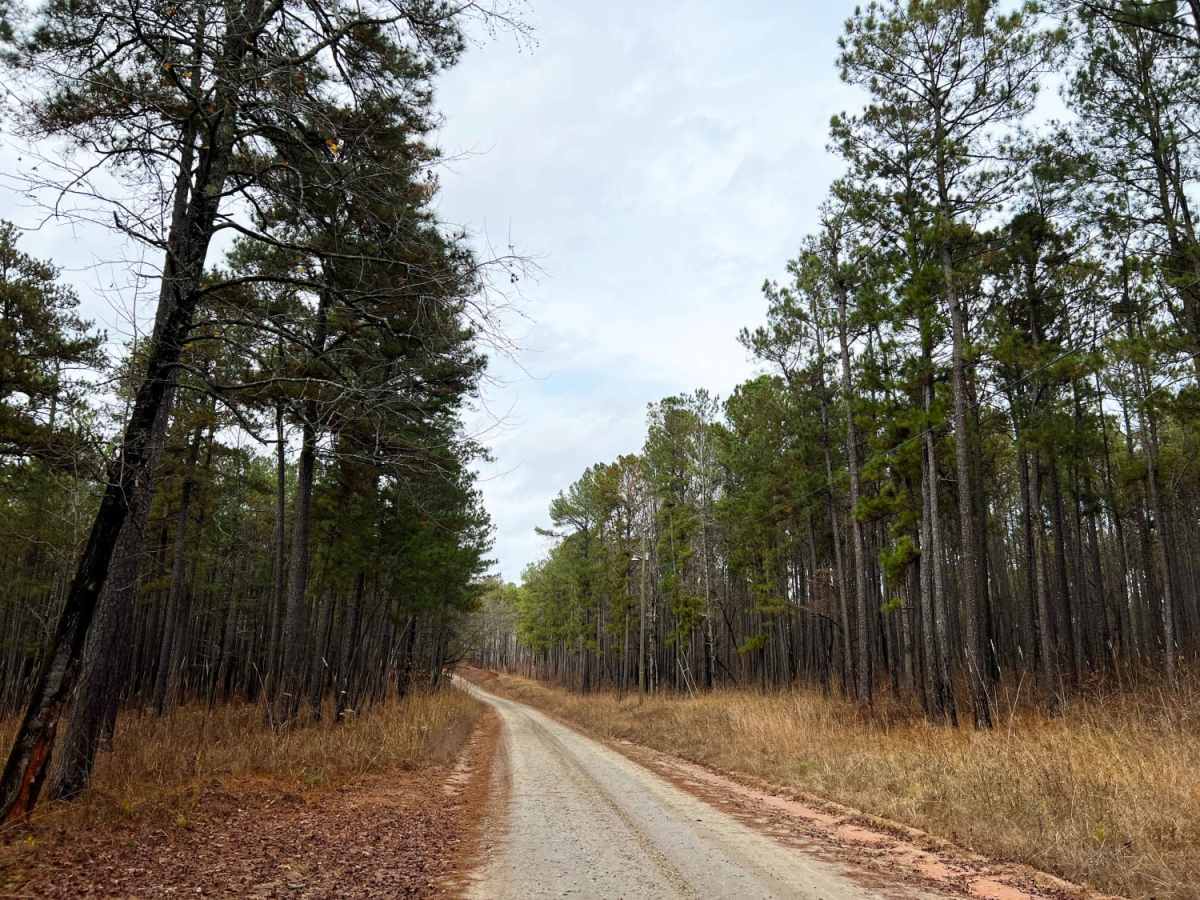 Oconee Starr photo 6