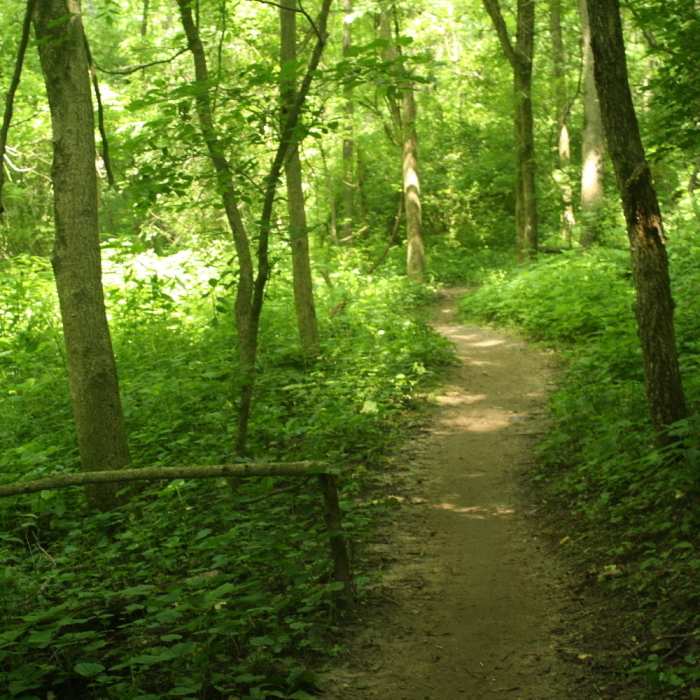 Camp Glenn beginner trail. Near Fall Creek Trail