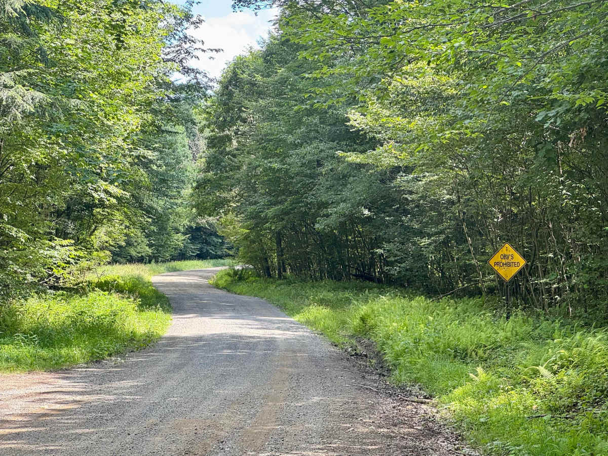 Owls Nest Road - FS 136 photo 4