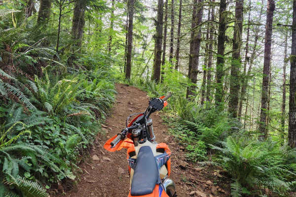 North Rim Trail #1