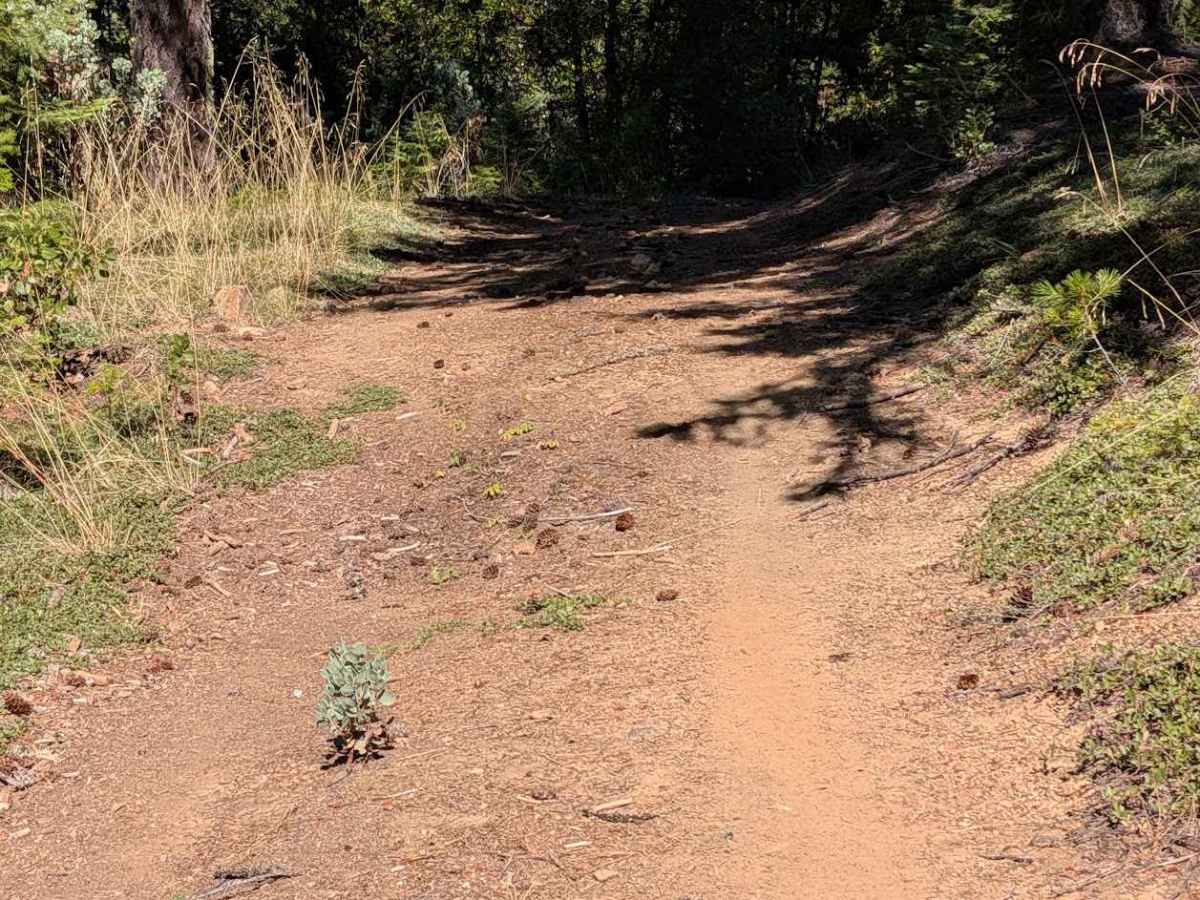 Tule Divide Road - FS 2N53 photo 3