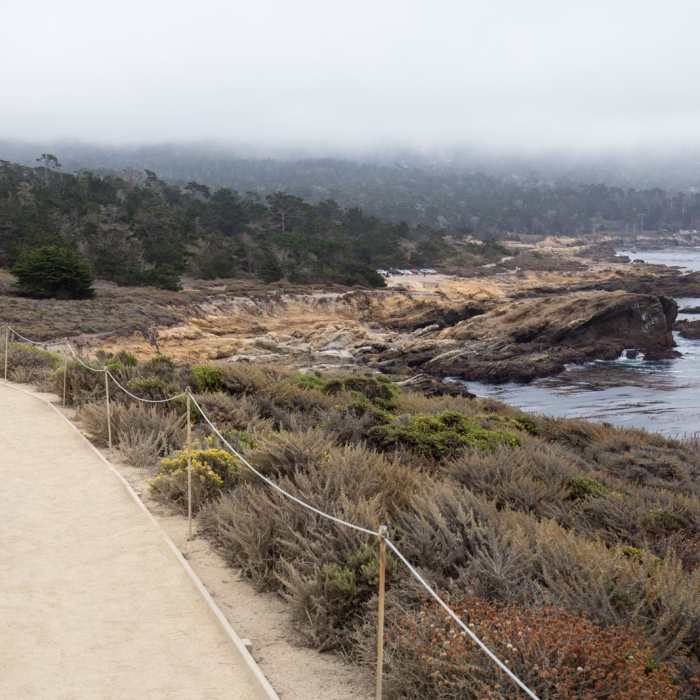 Near Sea Lion Point + Sand Hill Trails