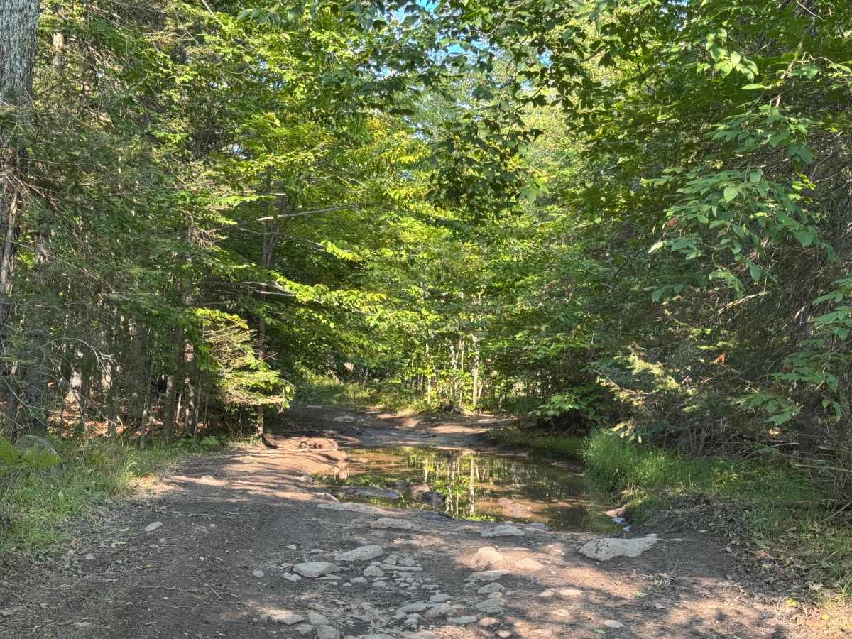 Island Isolation Trail photo 6