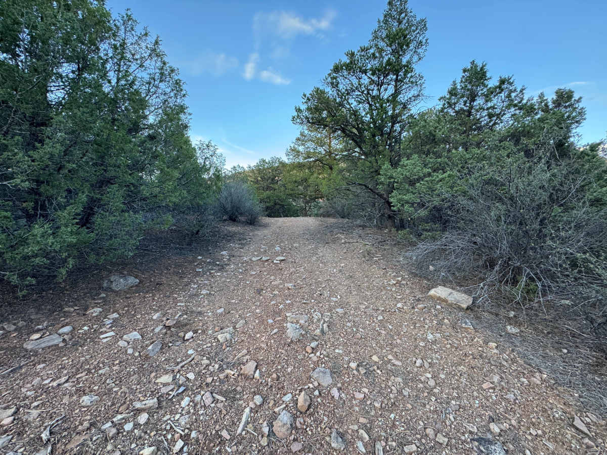 Leopard Creek trail photo