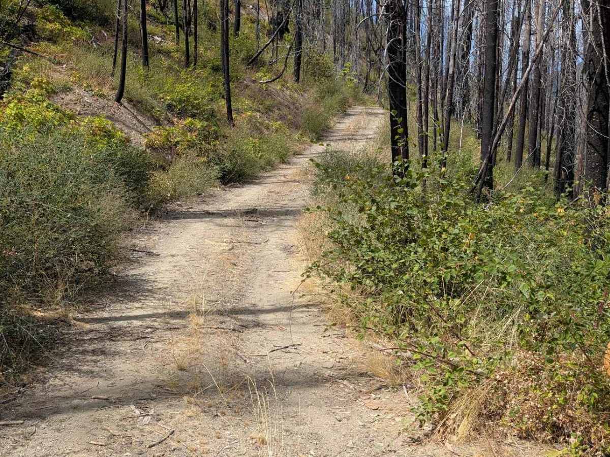 Soldier Creek Loop - FS 33N48  photo 6