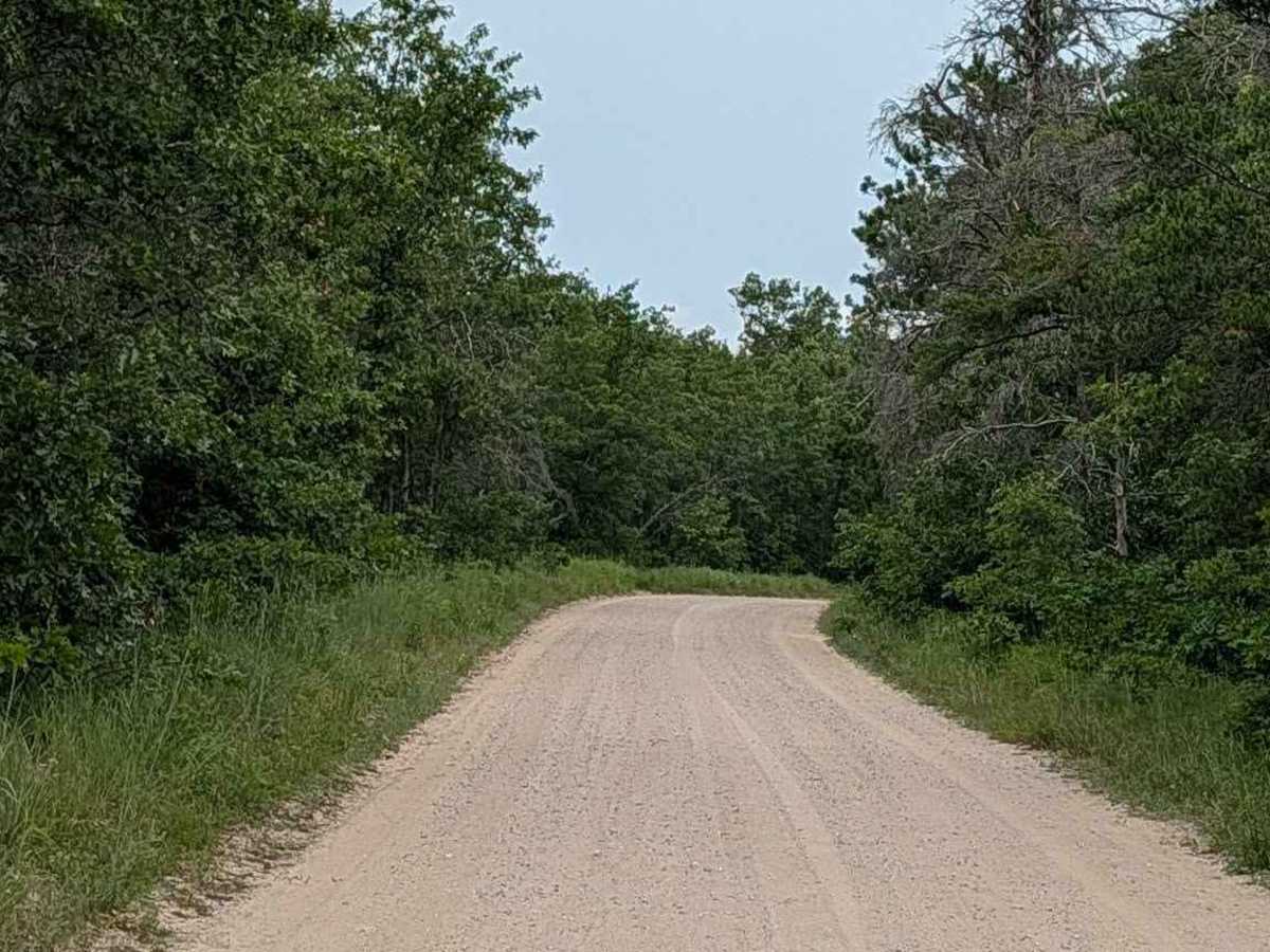 Brownell Road - FS 4510 photo 5