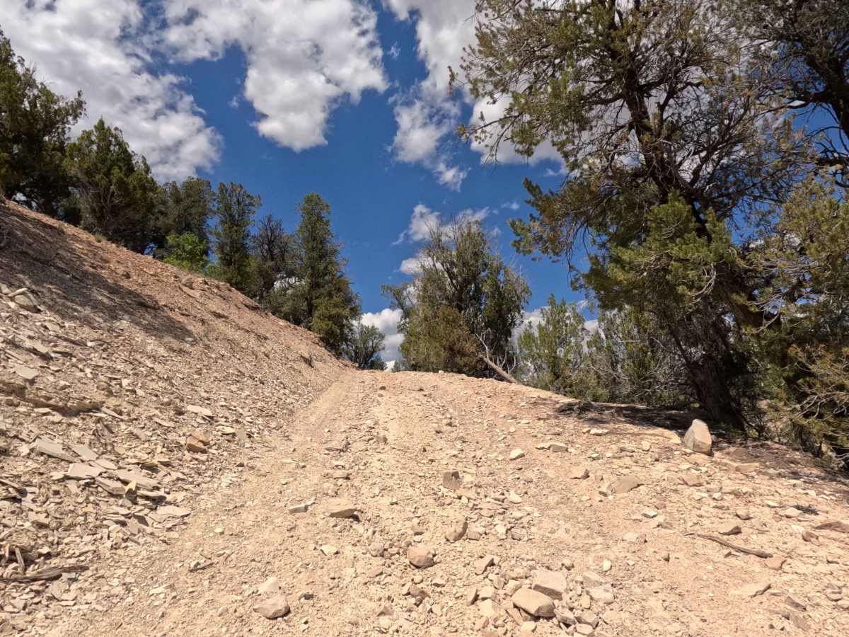 BLM 46 photo 3