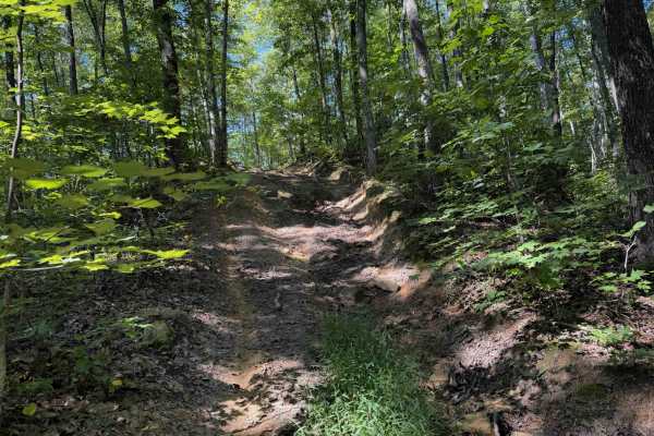 Ridge Top Trail 32 