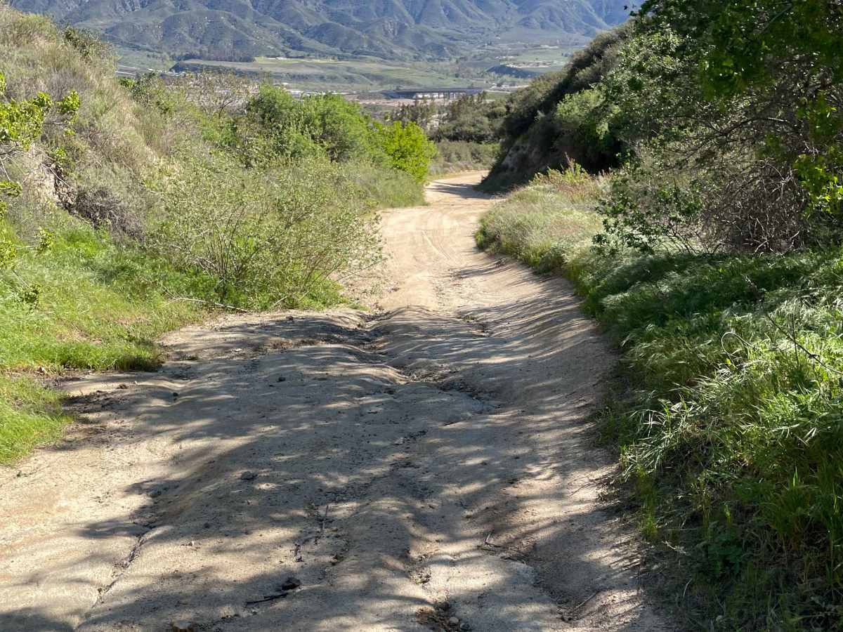 Lower Lytle Creek Divide - 3N31 photo 2
