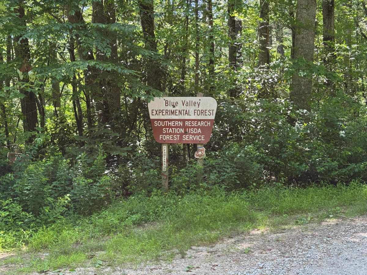 Brown Gap - FS 77 trail photo