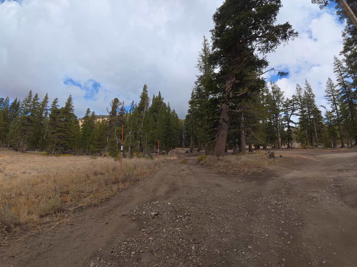 Wolf Creek photo 2