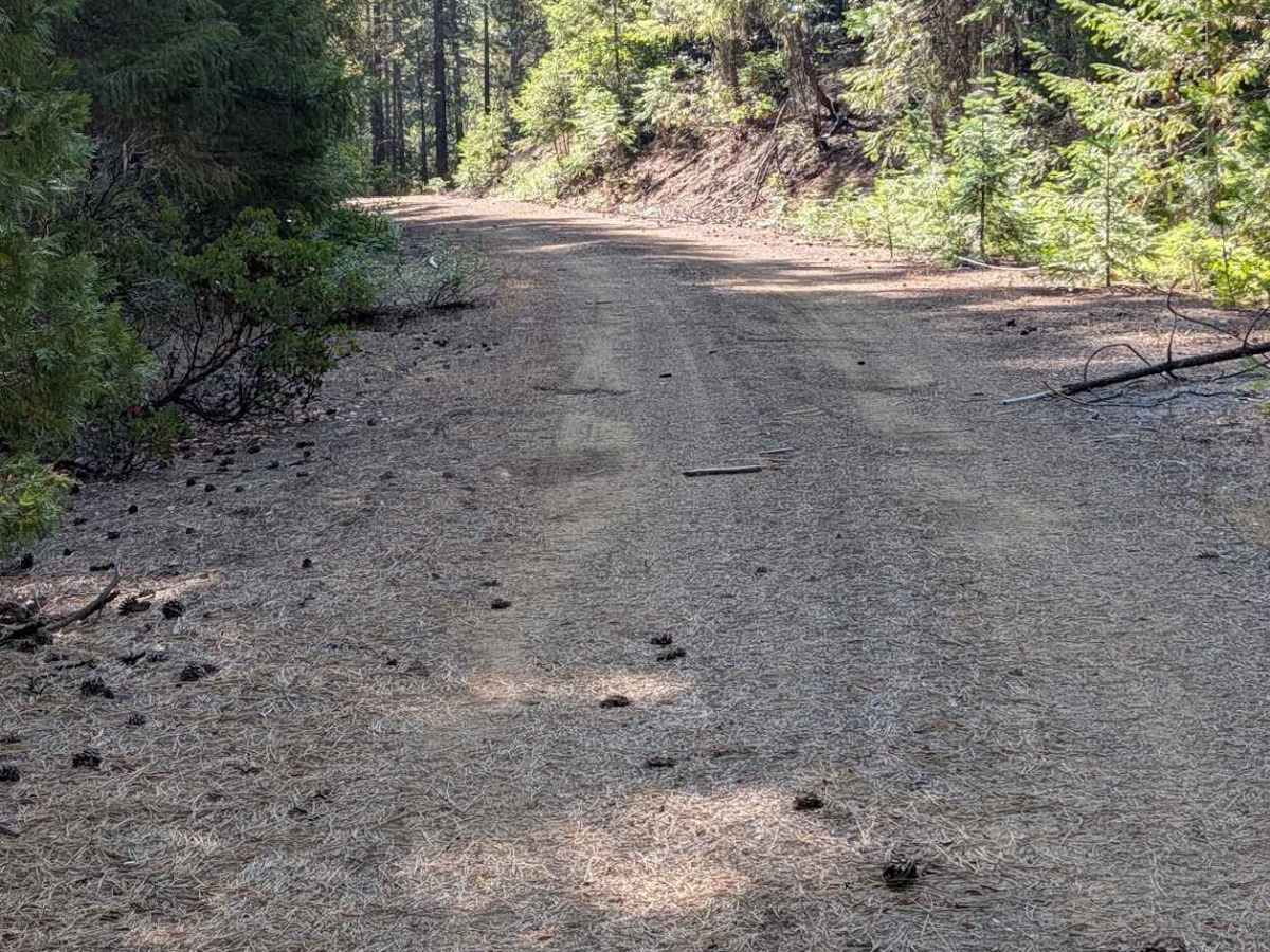 V-Springs Road - FS 1N14 photo 5