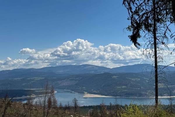 Nancy Creek Road