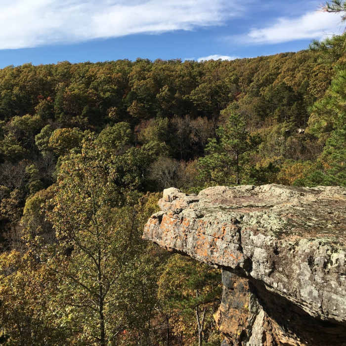 Near Pedestal Rocks Loop