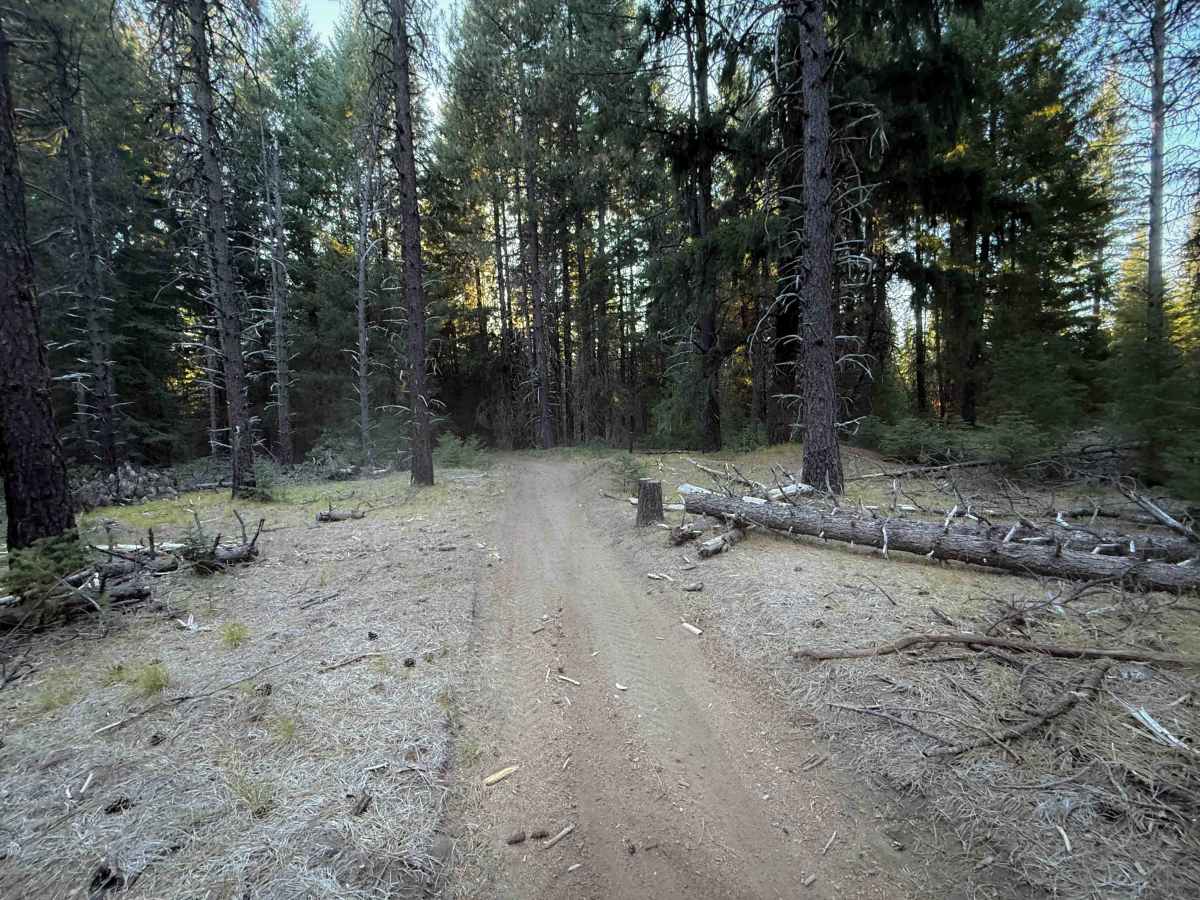 Boring Trail   photo 6