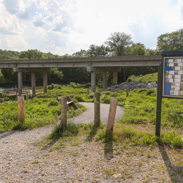 Near St. John's Creek Trail Near St. John's Creek Trail