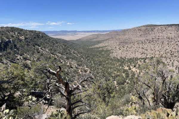 Red Hat Vista Trail