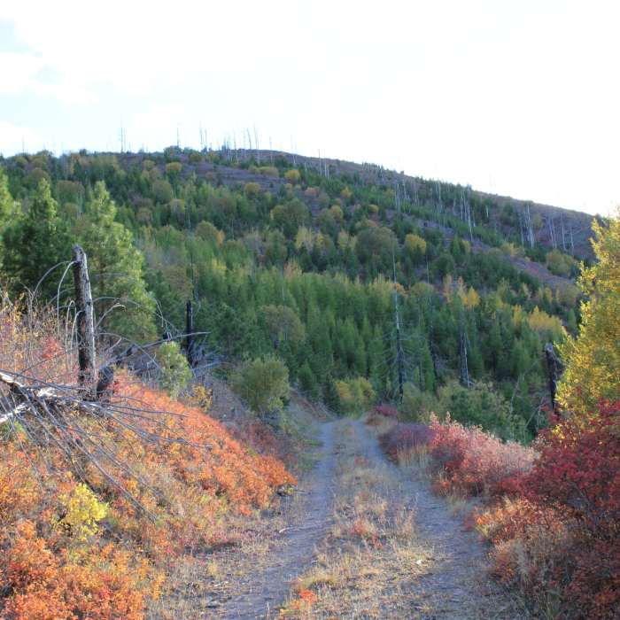 Lyon Gulch | Hiking Trail Maps, Difficulty, Trail Status | onX