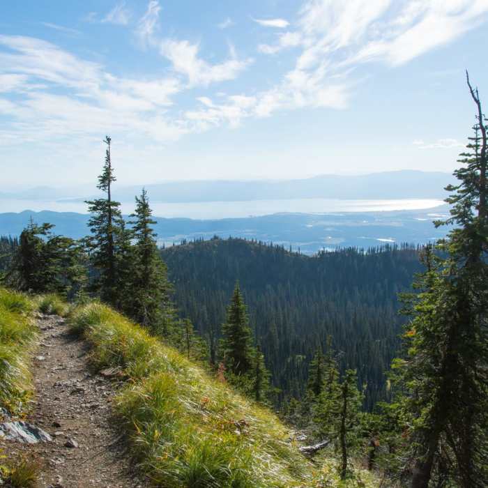 Near Jewel Basin Loop