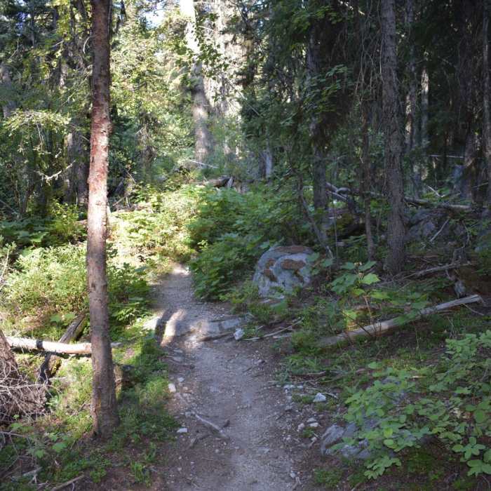 Near Canyon Creek Lake