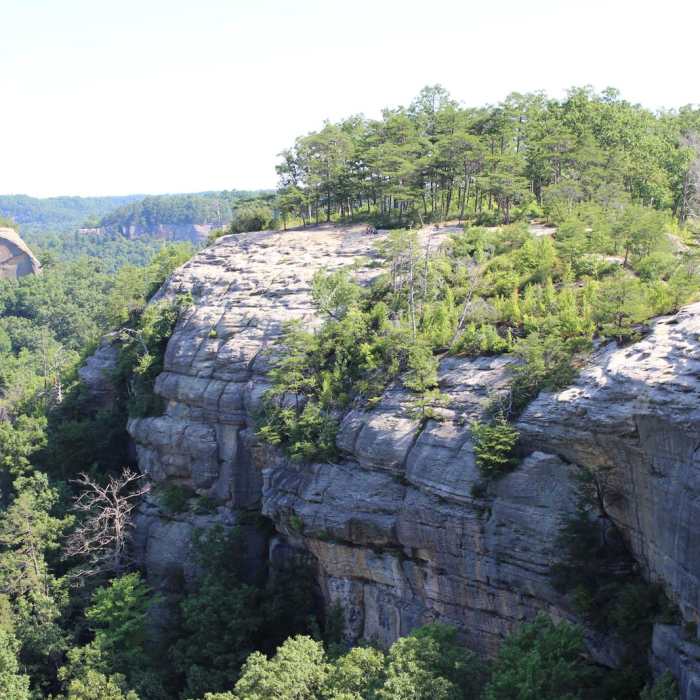 Near Auxier Ridge Loop Trail