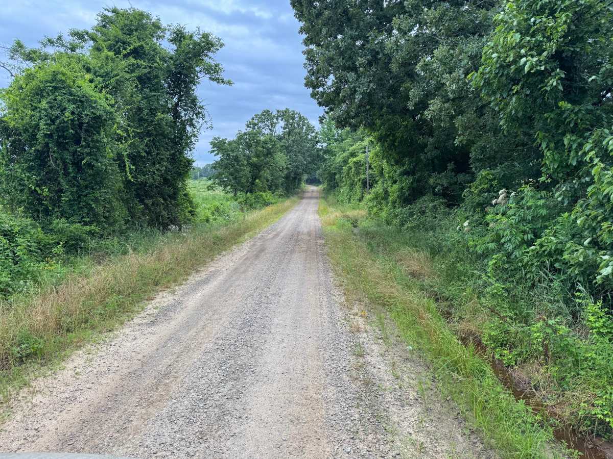 County Road 4501 trail photo